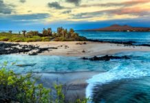 Galapagosinseln mit der Celebrity Flora Galapagos-Ecuador