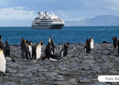 Die L'Austral von Ponant in Südgeorgien