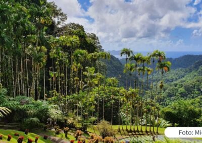 Karibisches Paradies