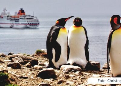 Königspinguine auf Südgeorgien vor der MS Hanseatic von Hapag-Lloyd Cruises