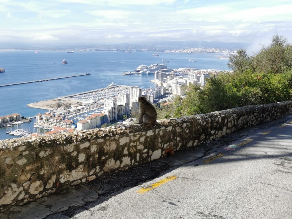 Affenfelsen Gibraltar
