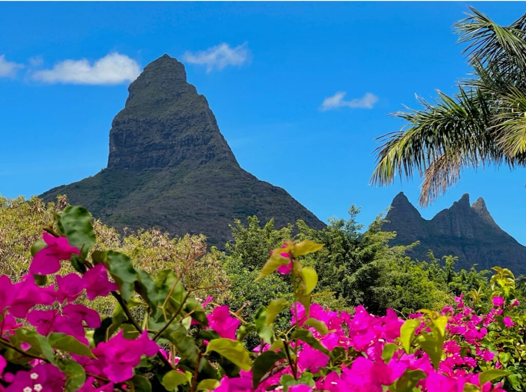 Farbenfrohes Mauritius