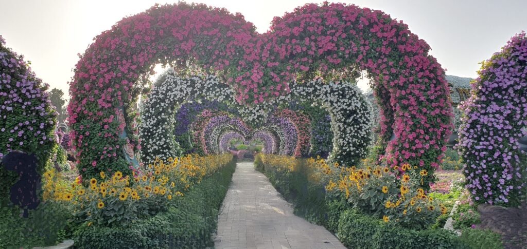 Blumenpark in Dubai