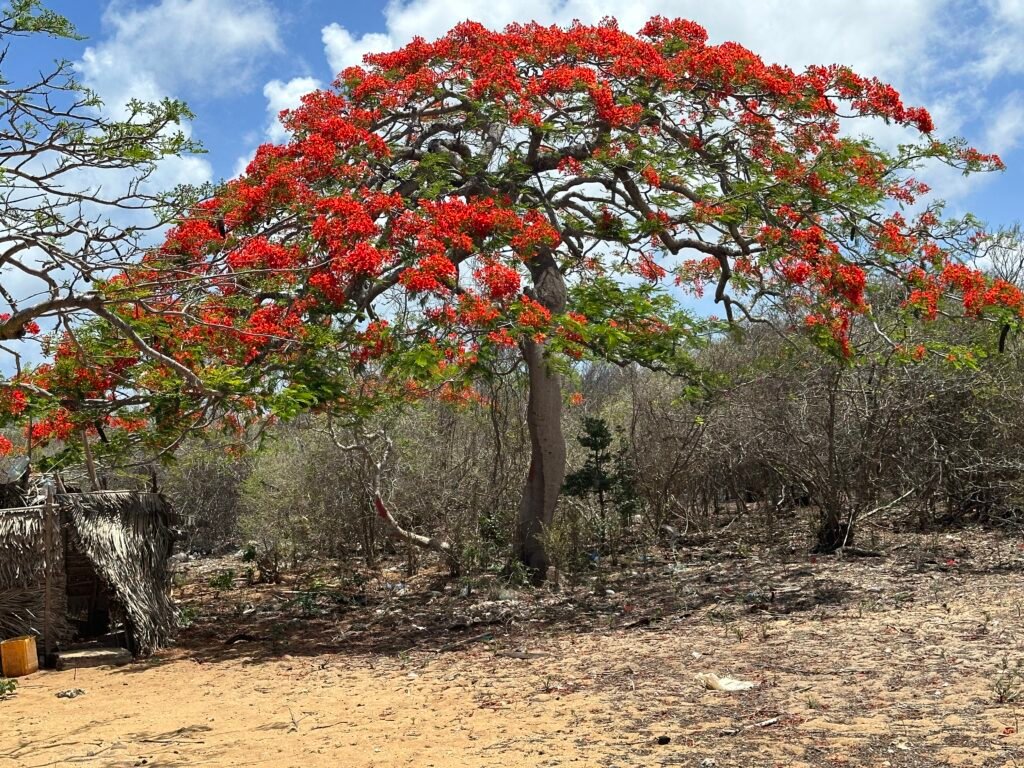 Antsiranana - Madagaskar