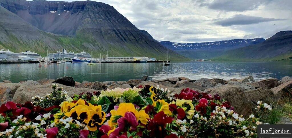 Die Nieuw Statendam im Hafen von Isafjördur, Island
