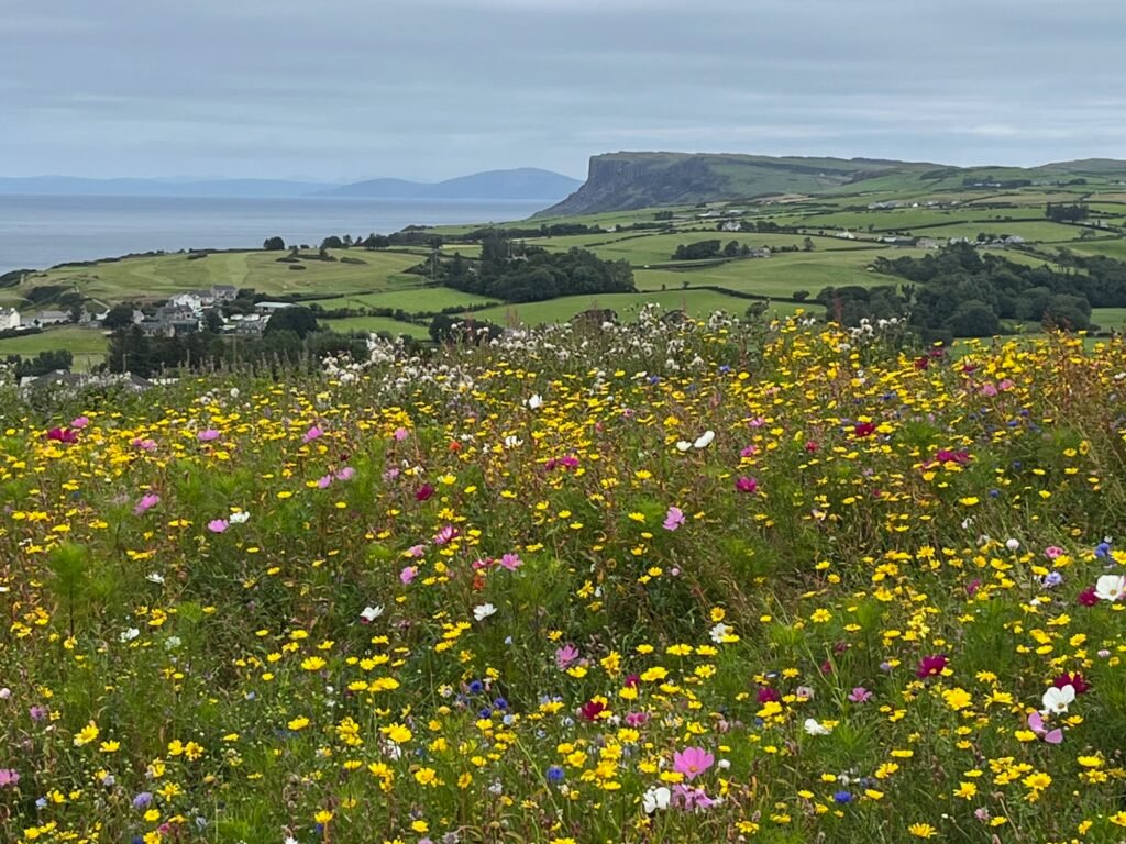 Sommer in Ballycastle, Nordirland.
